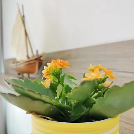 Glorijeta By Interhome *