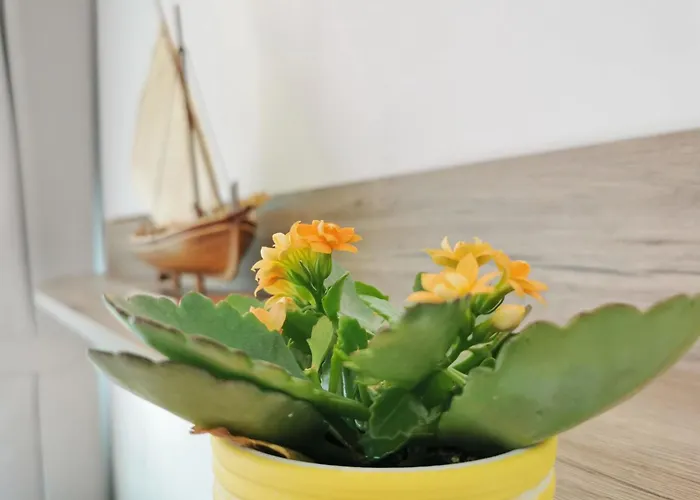 Glorijeta By Interhome *